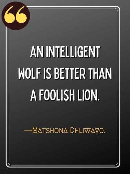 An intelligent wolf is better than a foolish lion. ―Matshona Dhliwayo., powerful wolf quotes,