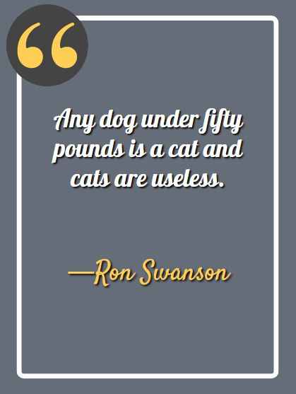Any dog under fifty pounds is a cat and cats are useless. -Ron Swanson, Ron Swanson quotes,