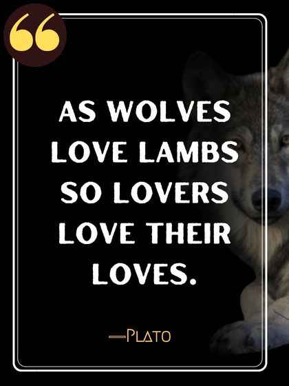 As wolves love lambs so lovers love their loves. ―Plato
