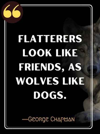 Flatterers look like friends, as wolves like dogs. ―George Chapman