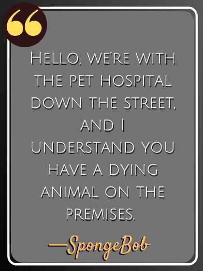 Hello, we’re with the pet hospital down the street, and I understand you have a dying animal on the premises. —SpongeBob