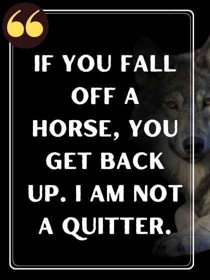 If you fall off a horse, you get back up. I am not a quitter.