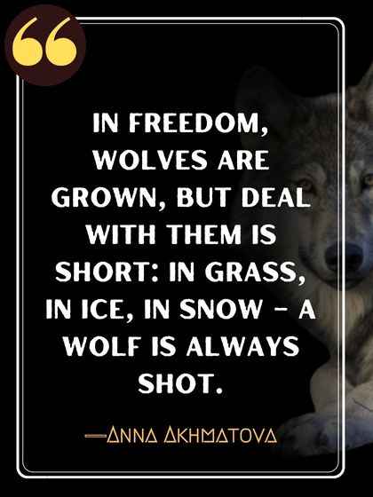 In freedom, wolves are grown, but deal with them is short: In grass, in ice, in snow – a wolf is always shot. ―Anna Akhmatova