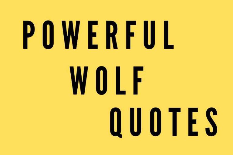 159 of the Most Powerful Wolf Quotes to Live By