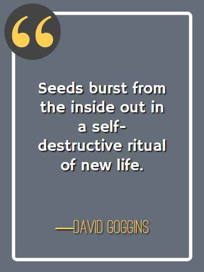 Seeds burst from the inside out in a self-destructive ritual of new life. ―David Goggins, best David Goggins quotes,