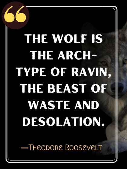 The wolf is the arch-type of ravin, the beast of waste and desolation. ―Theodore Roosevelt