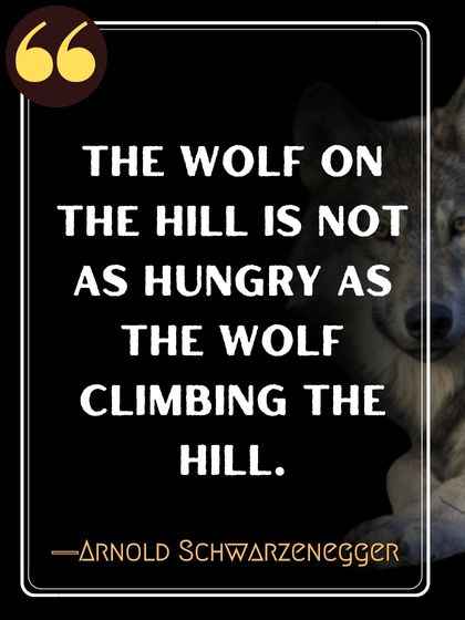 The wolf on the hill is not as hungry as the wolf climbing the hill. ―Arnold Schwarzenegger
