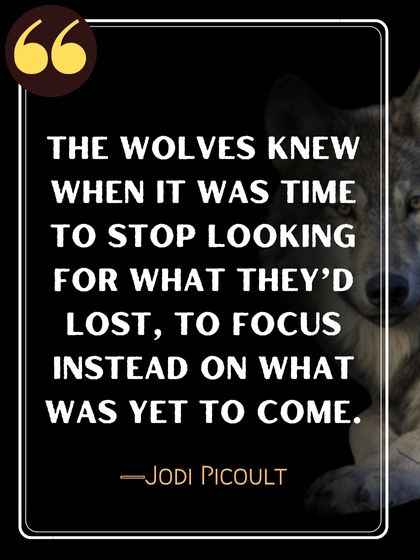 The wolves knew when it was time to stop looking for what they’d lost, to focus instead on what was yet to come. ―Jodi Picoult