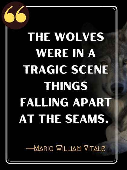 The wolves were in a tragic scene Things falling apart at the seams. ―Mario William Vitale