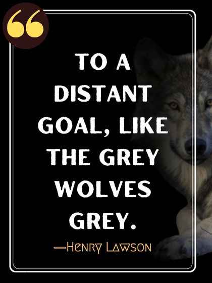 To a distant goal, like the grey wolves grey. ―Henry Lawson