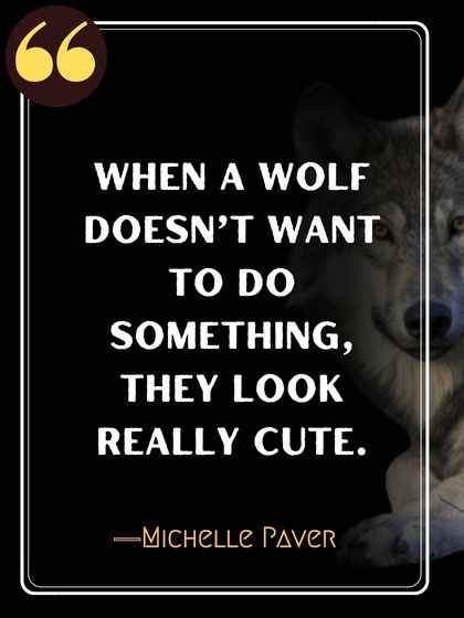 When a wolf doesn’t want to do something, they look really cute. ―Michelle Paver
