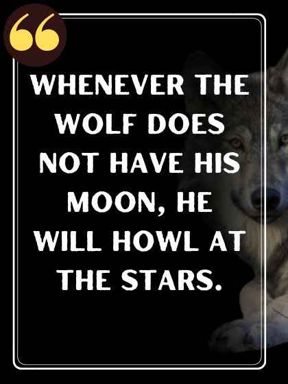 Whenever the wolf does not have his moon, he will howl at the stars.