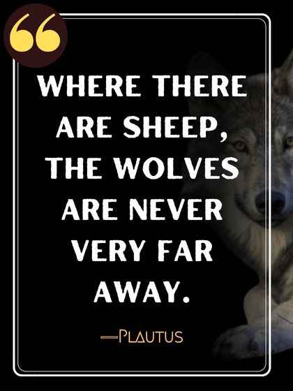 Where there are sheep, the wolves are never very far away. ―Plautus