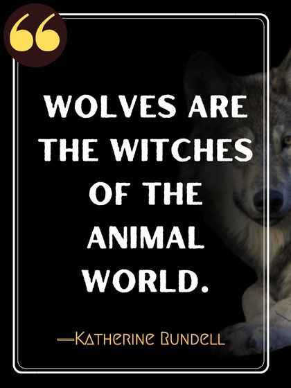 Wolves are the witches of the animal world. ―Katherine Rundell