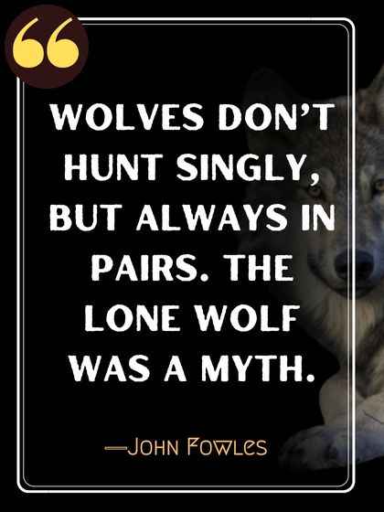 Wolves don’t hunt singly, but always in pairs. The lone wolf was a myth. ―John Fowles