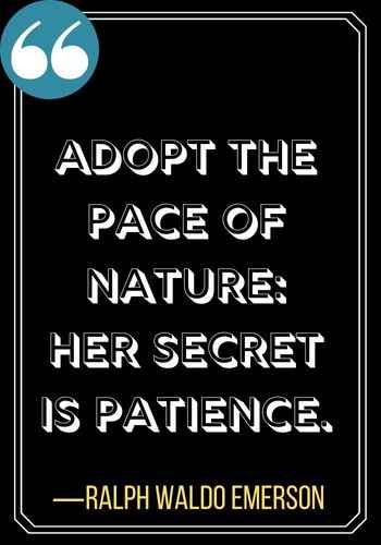 Adopt the pace of nature: her secret is patience. ―Ralph Waldo Emerson, Best Patience Quotes to Live By,