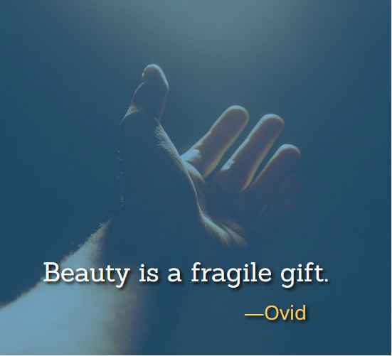 Beauty is a fragile gift. ―Ovid, 126 Best Gift Quotes That Will Make Your Loved Ones Smile