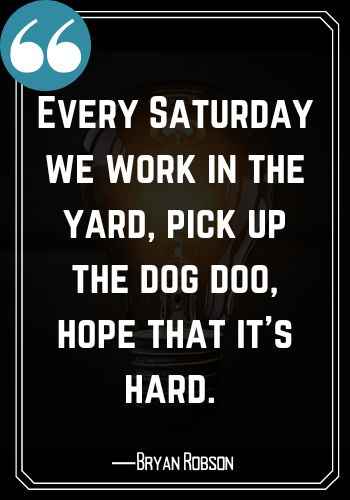 Every Saturday we work in the yard, pick up the dog doo, hope that it’s hard. ―Joe Walsh, saturday quotes,