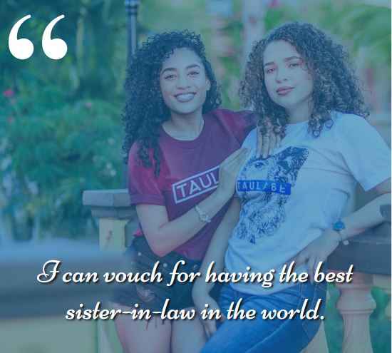 I can vouch for having the best sister-in-law in the world. best sister-in-law quotes,