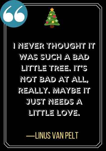 I never thought it was such a bad little tree. It’s not bad at all, really. Maybe it just needs a little love. ―Linus Van Pelt