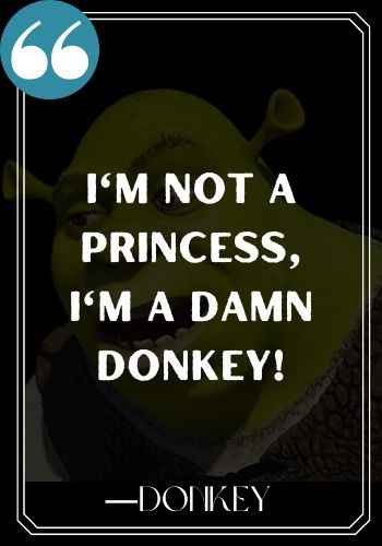 I'm not a princess, I'm a damn donkey! ―Donkey, shrek quotes,
