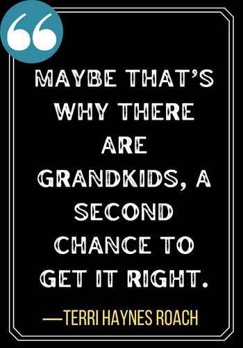 Maybe that’s why there are grandkids, a second chance to get it right. ―Terri Haynes Roach, second chances quotes,