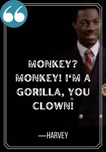 Monkey MONKEY Im a gorilla you clown