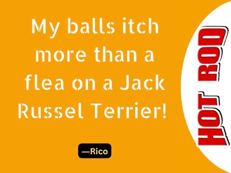 My balls itch more than a flea on a Jack Russel Terrier!