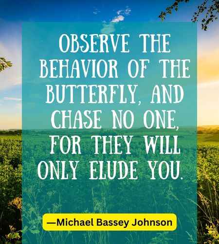 Observe the behavior of the butterfly, and chase no one, for they will only elude you.