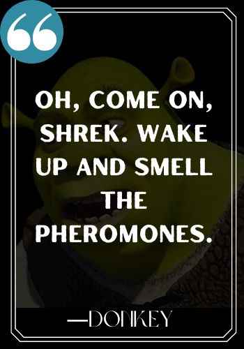 Oh, come on, Shrek. Wake up and smell the pheromones. ―Donkey, Funniest and Most Inspirational Shrek Quotes,