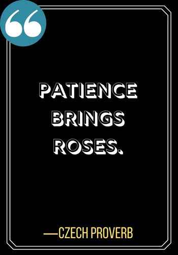 Patience brings roses. ―Czech Proverb, Best Patience Quotes to Help You through Life's Rough Times,