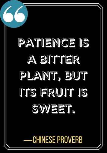 Patience is a bitter plant, but its fruit is sweet. ―Chinese Proverb, Best Patience Quotes to Help You Weather Any Storm