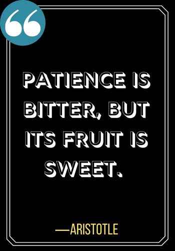 Patience is bitter, but its fruit is sweet. ―Aristotle, Best Quotes on Patience,