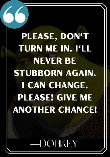 Please, don't turn me in. I'll never be stubborn again. I can change. Please! Give me another chance! - Donkey