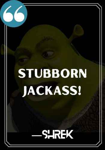 Stubborn jackass!. ―Shrek, Funniest and Most Inspirational Shrek Quotes,