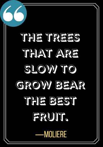 The trees that are slow to grow bear the best fruit. ―Moliere, Inspiring Quotes on The Power of Patience,