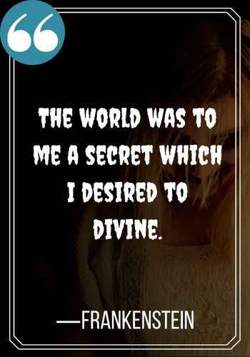 The world was to me a secret which I desired to divine. —Frankenstein, gothic quotes