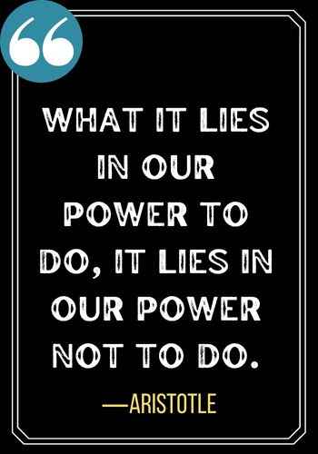 What it lies in our power to do, it lies in our power not to do. ―Aristotle, best confused quotes,