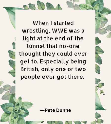 When I started wrestling, WWE was a light at the end of the tunnel