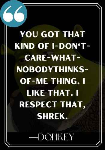 You got that kind of I-don't-care-what-nobodythinks-of-me thing. I like that. I respect that, Shrek. ―Donkey, Funniest Shrek Quotes,