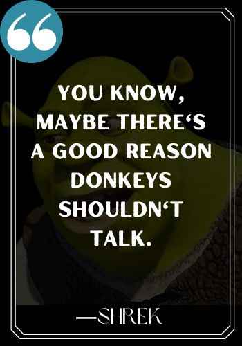 You know, maybe there's a good reason donkeys shouldn't talk. ―Shrek, Best Shrek Quotes,