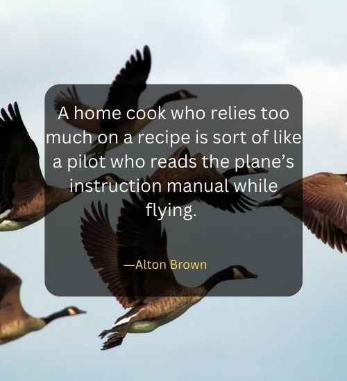 A home cook who relies too much on a recipe is sort of like a pilot who reads the plane’s instruction manual while flying.