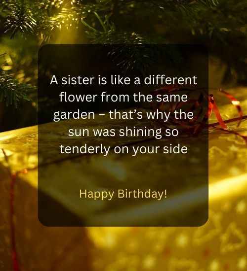 A sister is like a different flower from the same garden – that’s why the sun was shining so tenderly on your side