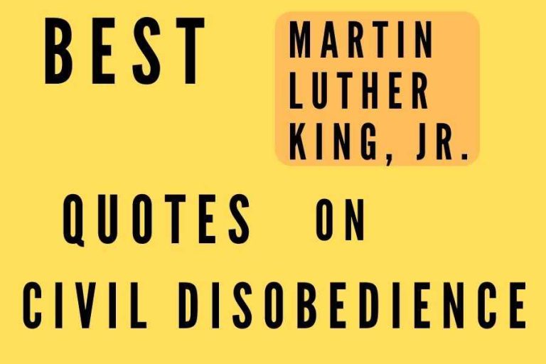51 Best Martin Luther King Quotes on Civil Disobedience: The Power of Protest