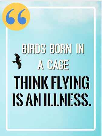 Birds born in a cage think flying is an illness. Best Flying Quotes 