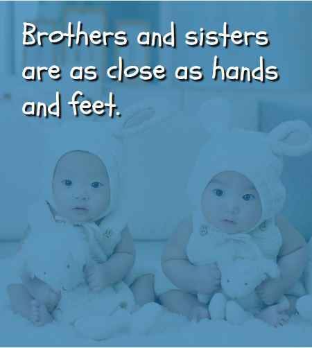 Brothers and sisters are as close as hands and feet. ―English Proverb, Best Brother Sister Quotes 