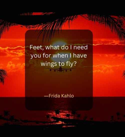 Feet, what do I need you for when I have wings to fly
