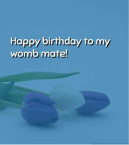 Happy birthday to my womb mate! Heartwarming Birthday Quotes to Wish Your Sister a Happy Birthday