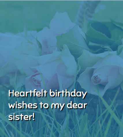 Heartfelt birthday wishes to my dear sister! Happy Birthday Quotes for Sister