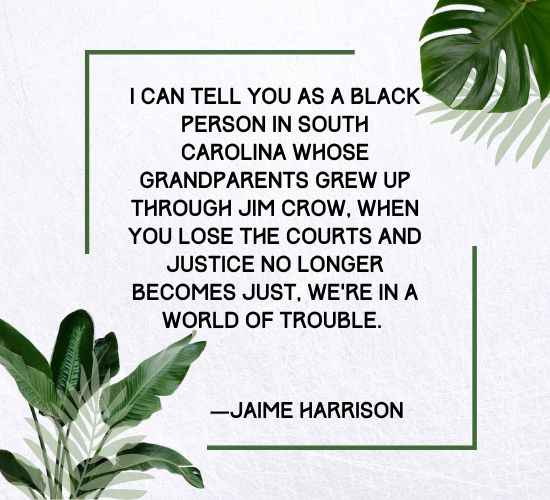 I can tell you as a black person in South Carolina whose grandparents grew up through Jim